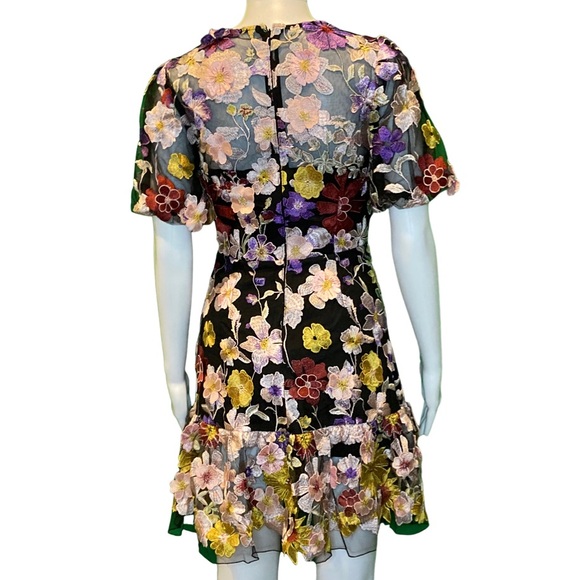 NWT Milly Yasmin Multi 3D Floral Embroidery Dress - Sz 0 - Picture 3 of 11